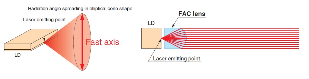 LD VS FAC